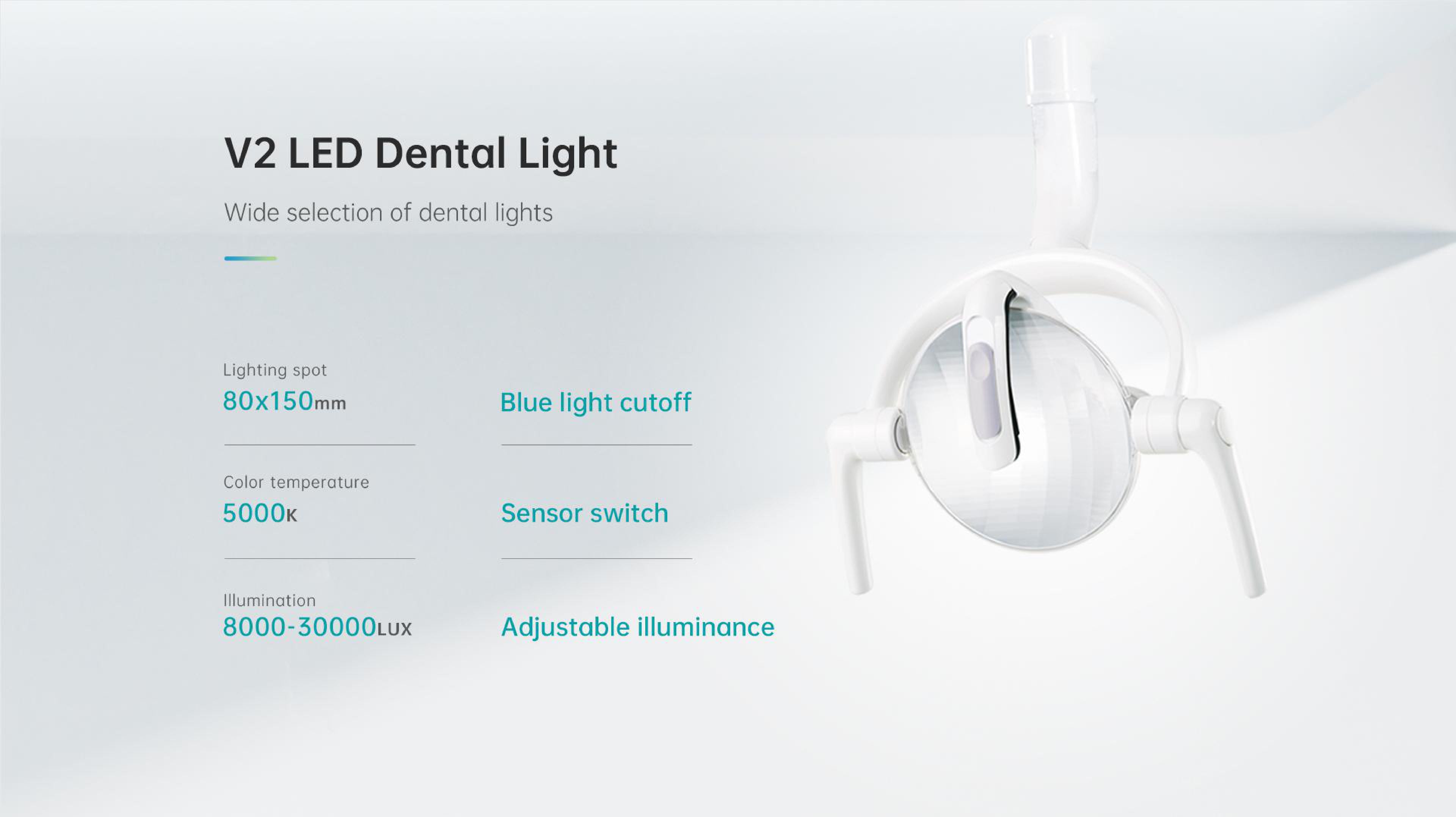 Lifedent P3-Lite